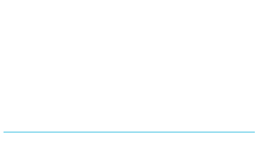 Perfect People Solutions